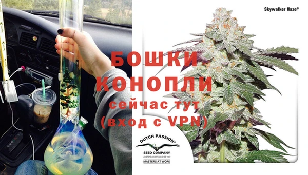 ПСИЛОЦИБИНОВЫЕ ГРИБЫ Апатиты