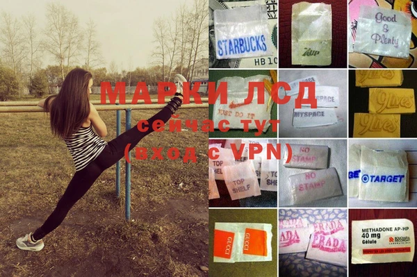 прущие крисы Медвежьегорск