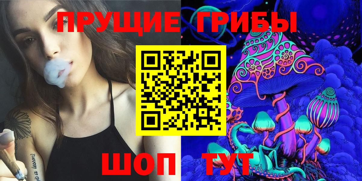 Каменск-Шахтинский  Псилоцибиновые грибы GOLDEN TEACHER  Вход с VPN 